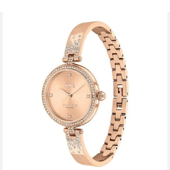 Coach Watch - Picture 2 of 7